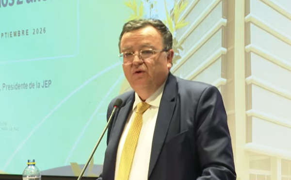 El presidente del tribunal, Alejandro Ramelli, cuestionó dos iniciativas que avanzan en el Congreso.