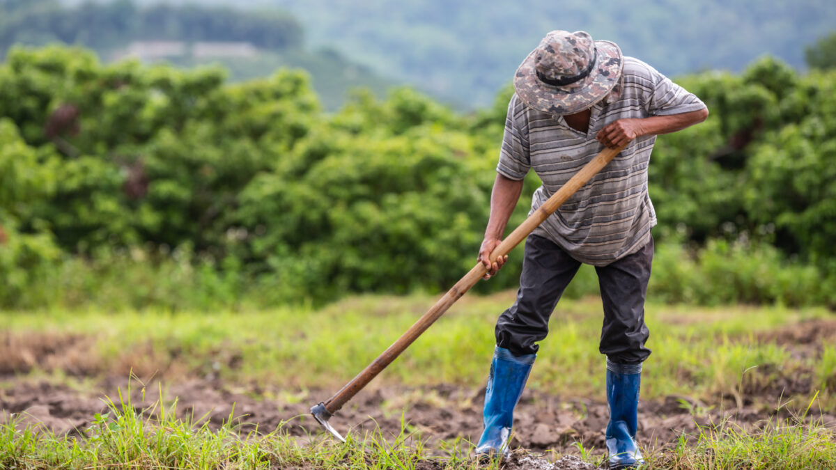 Fertilizantes en Colombia.